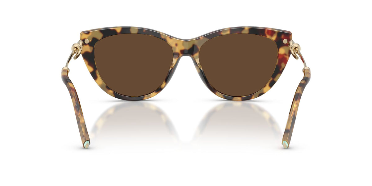 Tiffany 0TF4253 80643G 55 Blonde Havana/ Light Brown