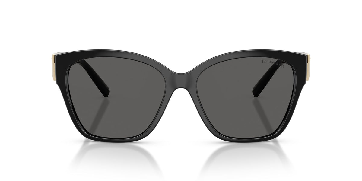 Tiffany 0TF4254U8001S456 Black/ Dark Grey