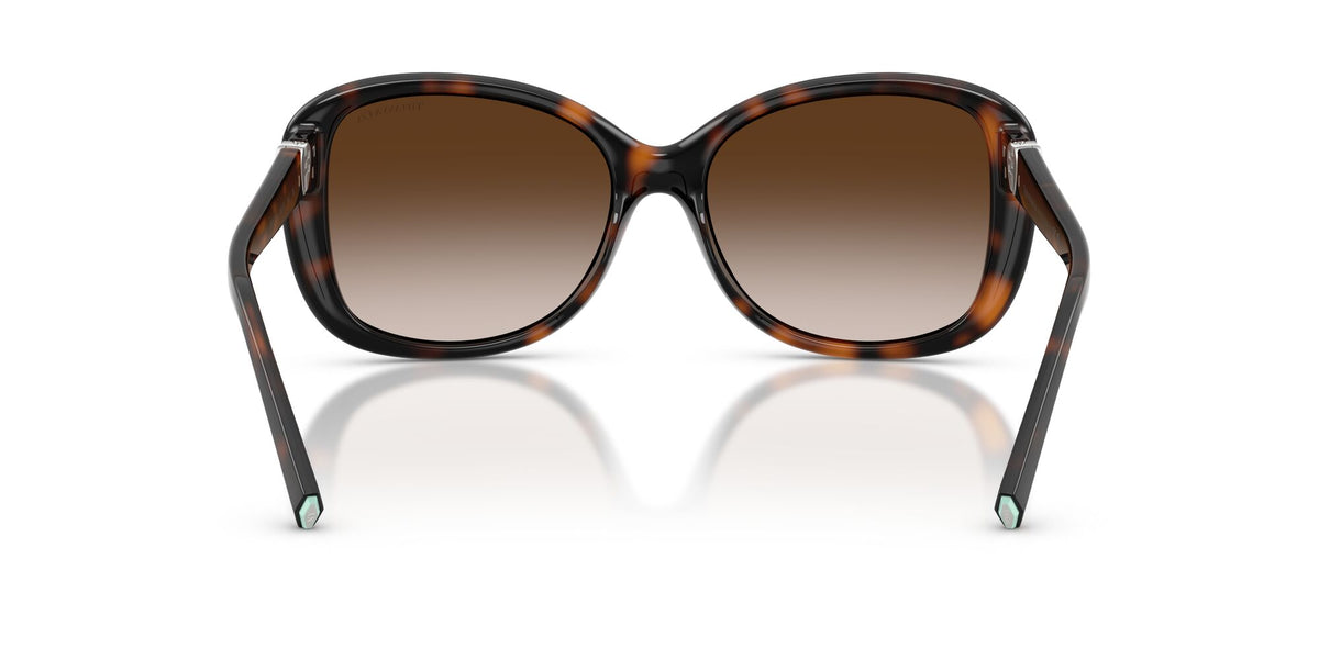 Tiffany 0TF4257U80153B56 Havana/ Brown Gradient