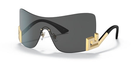 VE 2240 Versace  Grey / Dark Grey 40 40 / Polyamide / Metal / Metal