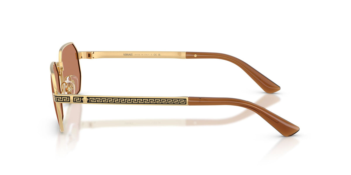 Versace 0VE229710027354 Gold/ Brown