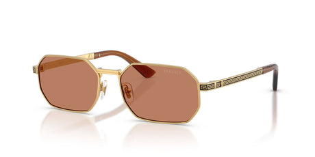 Versace 0VE229710027354 Gold/ Brown
