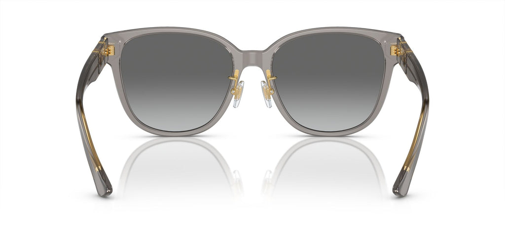 Versace 0VE4460D 540611 57 Opal Grey/ Gradient Grey 57 / Polyamide Bio / Acetate / Acetate