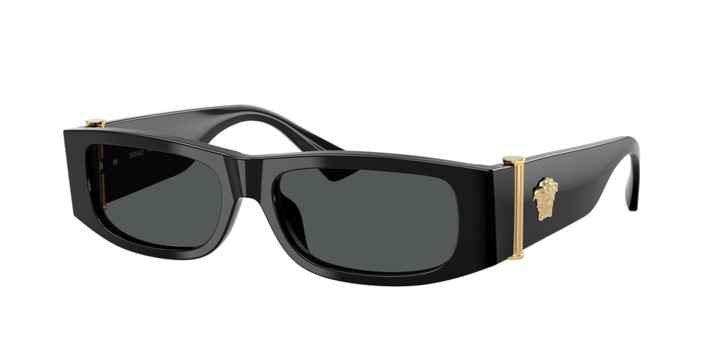 Versace  0VE4476U GB1/87 55 Black/ Dark Grey