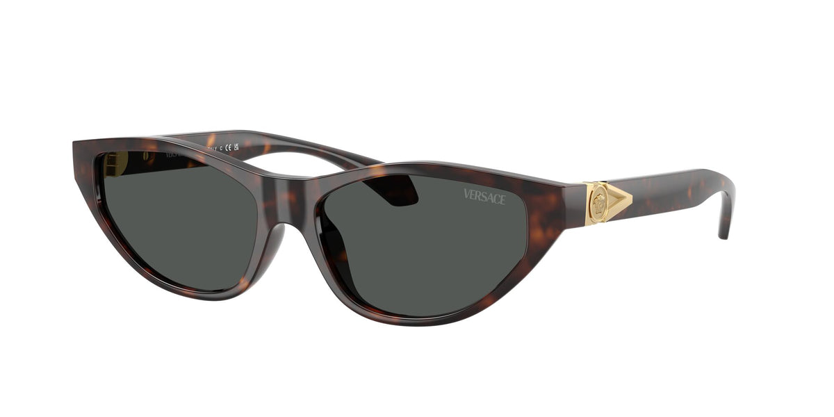 Versace 0VE4491U 108/87 55 Havana/ Dark Grey