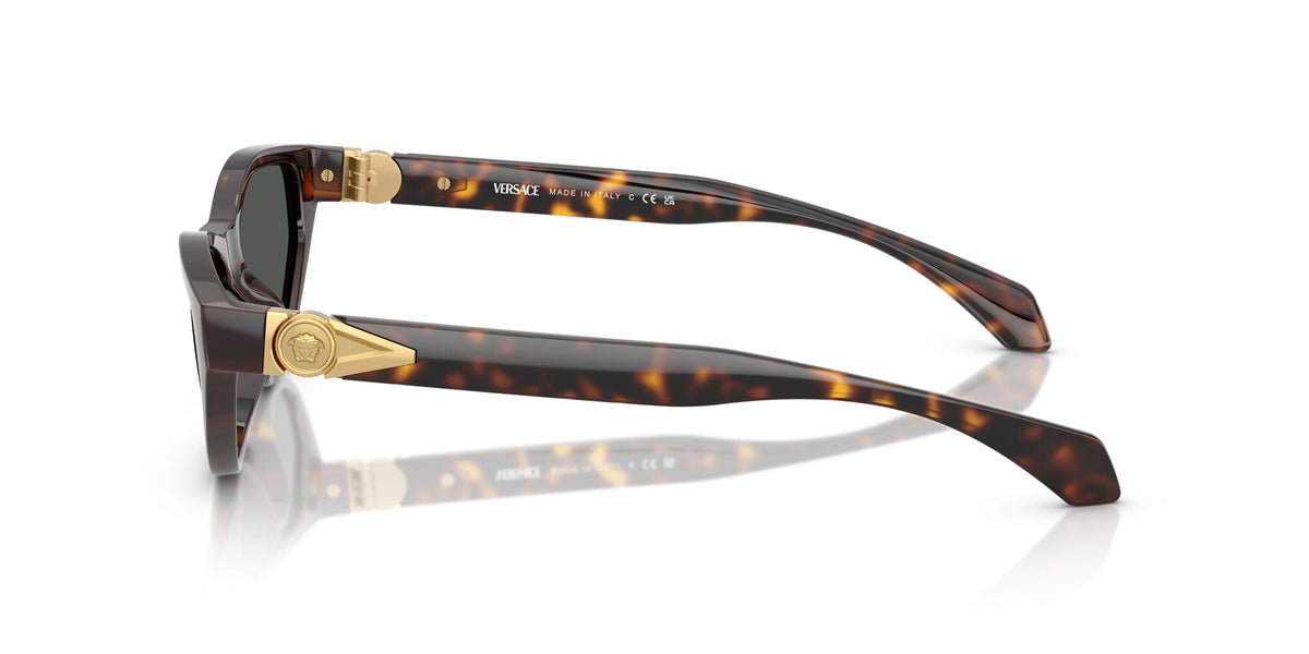 Versace 0VE4491U 108/87 55 Havana/ Dark Grey