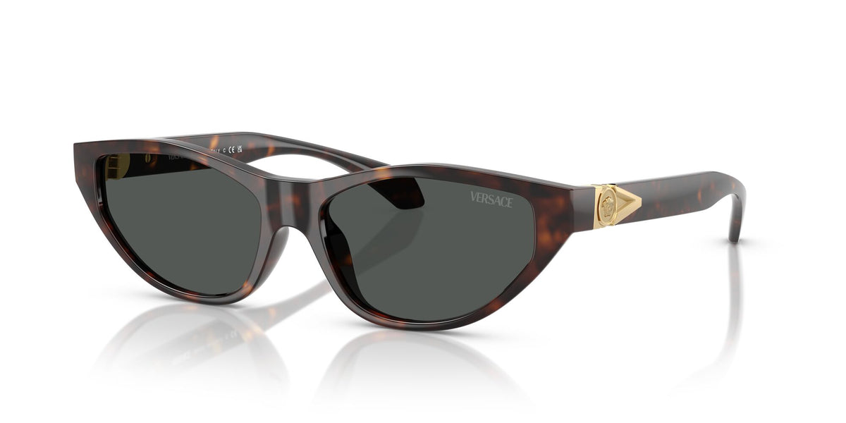 Versace 0VE4491U 108/87 55 Havana/ Dark Grey