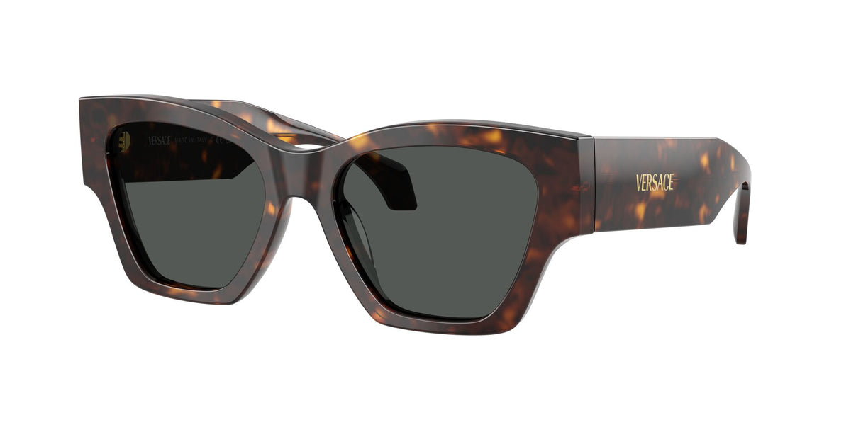 Versace 0VE4492U 108/87 53 Dark Havana/ Dark Grey
