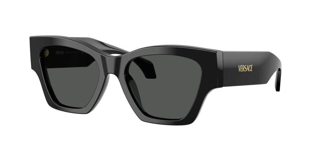 Versace 0VE4492U GB1/87 53 Black/ Dark Grey