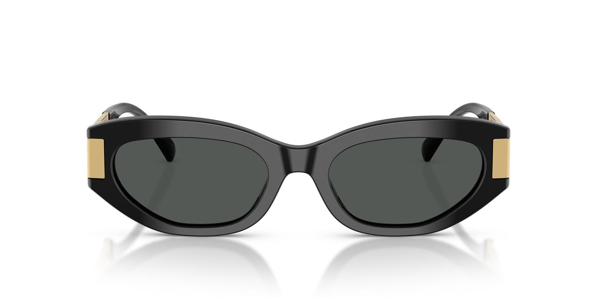 Versace 0VE4501 GB1/87 54 Black/ Dark Grey