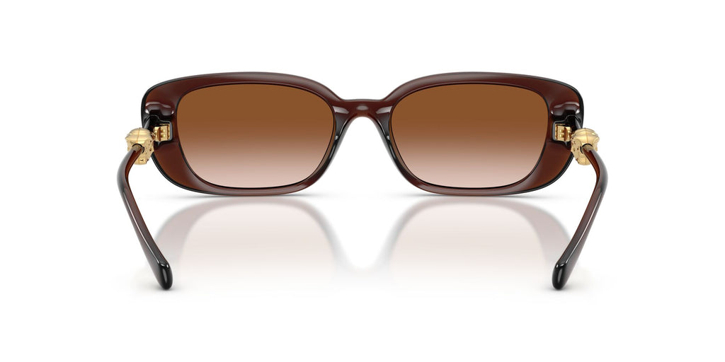 Versace 0VE4504D 533213 56 Transparent Brown/ Brown Gradient
