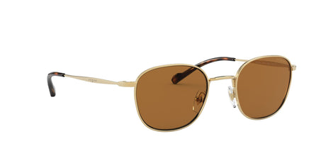 Vogue VO 4173S Gold / Brown Polar 48 / Plastic / Metal
