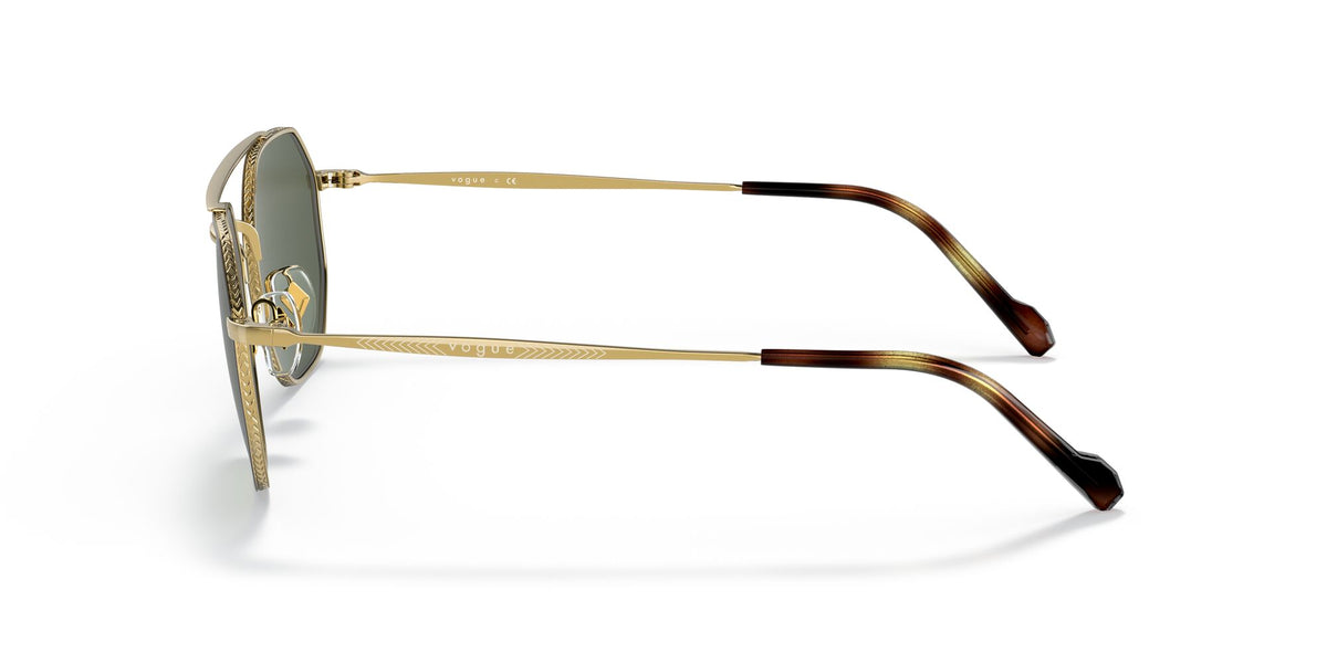 Vogue VO 4193S Top Brown/Gold / Dark Green 51 / Plastic / Metal