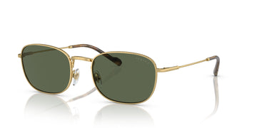 Vogue 0VO4276S 280/9A 54 Gold/ Dark Green Polarised 54 / Polycarbonate / Metal / Metal