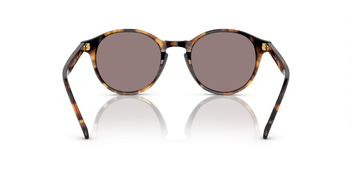 Vogue 0VO5327S 28197N 48 Havana Honey/ Purple Brown 48 / Polyamide / Acetate / Acetate