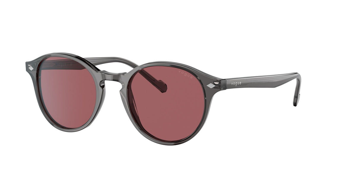 VO 5327S Vogue  Transparent Grey / Dark Violet 48 48 / Polyamide / Acetate / Acetate