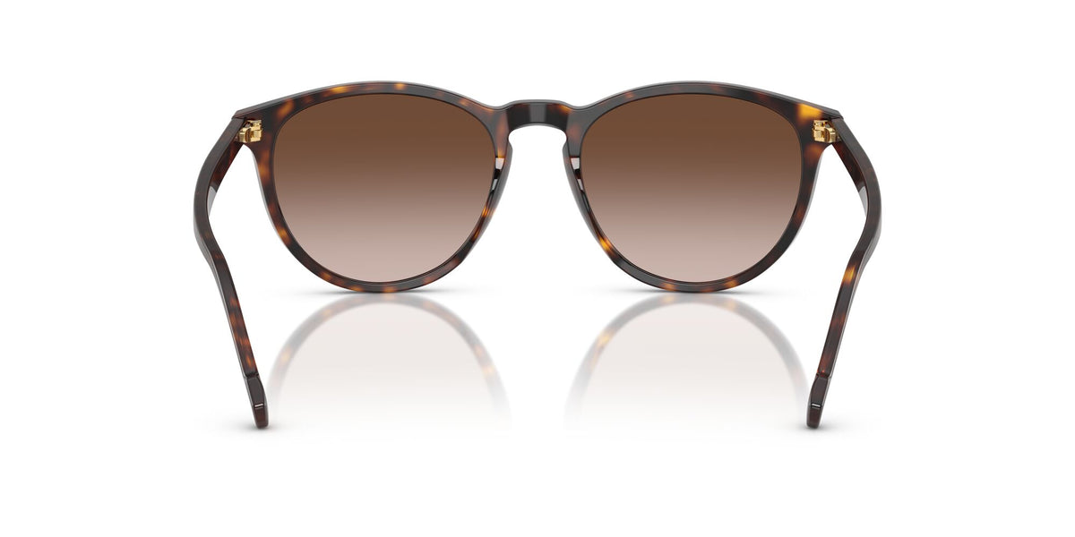 Vogue  0VO5599S W65613 53 Dark Havana/ Gradient Brown