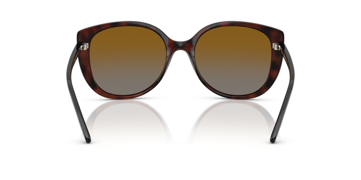 Vogue  VO5623S 2386T5 55 Top Dark Havana/Light Brown / Grey Gradient Brown Polar