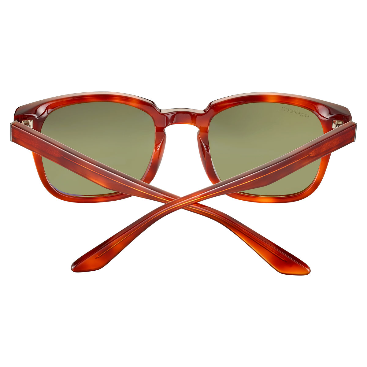 Serengeti Ethan SS575003 Shiny Classic Havana