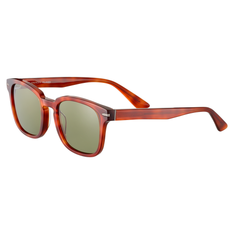 Serengeti Ethan SS575003 Shiny Classic Havana