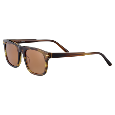 Serengeti Charlton SS576001 Shiny Tortoise