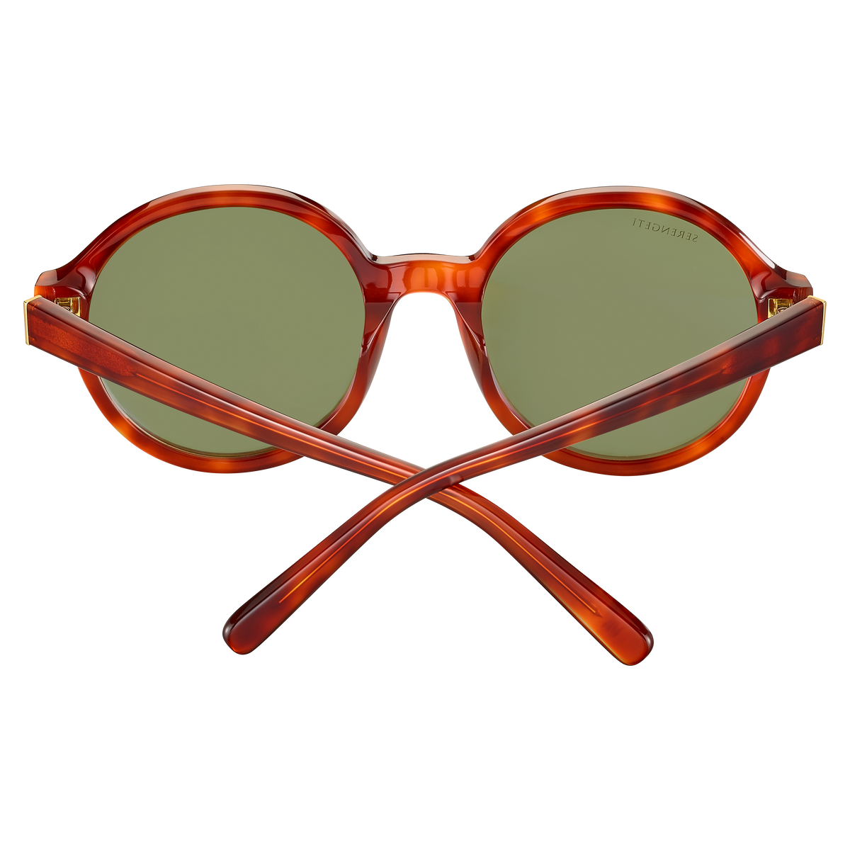 Serengeti Joan SS577001 Shiny Classic Havana