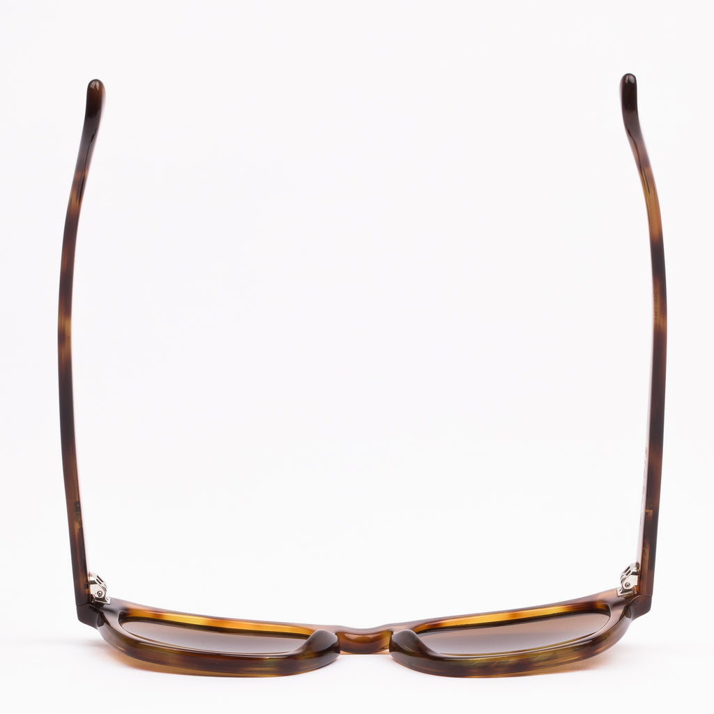 OTIS SUMMER OF 67 X : ECO HAVANA ZINNIA/BROWN 163-2303