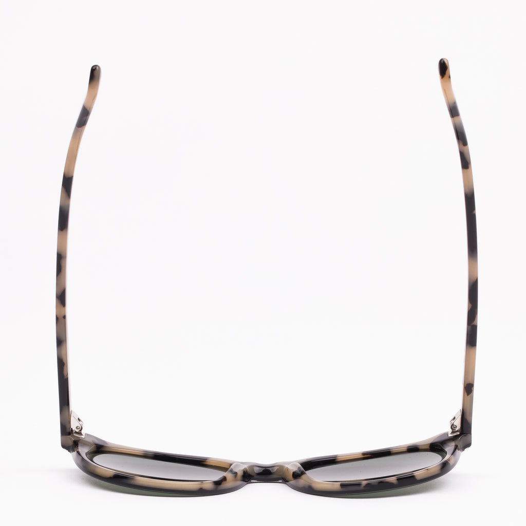 OTIS JAZMINE : ECO HAVANA LIQUORICE/GREY 164-2311