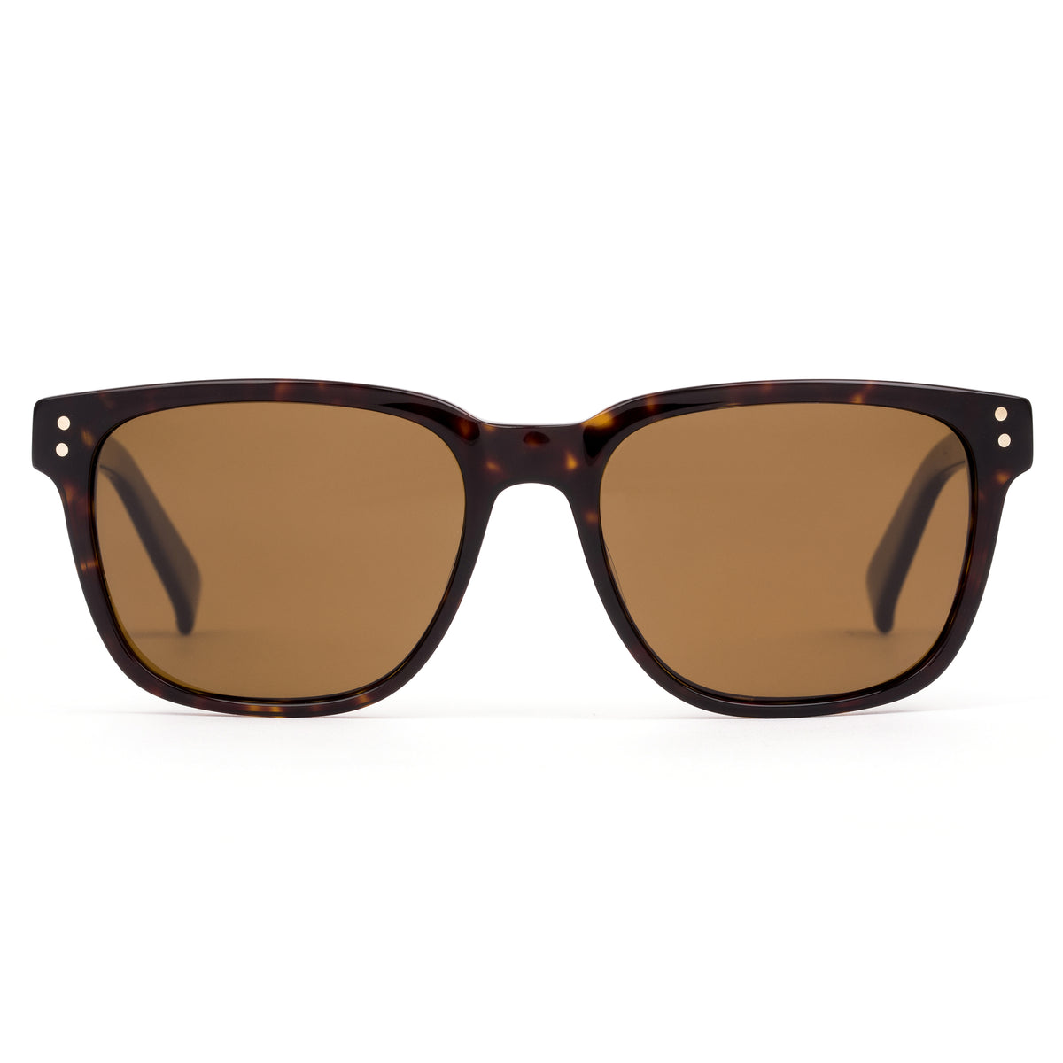 Otis Time Horizon : Eco Matte Dark Tort/Brown Polar 167-2302P