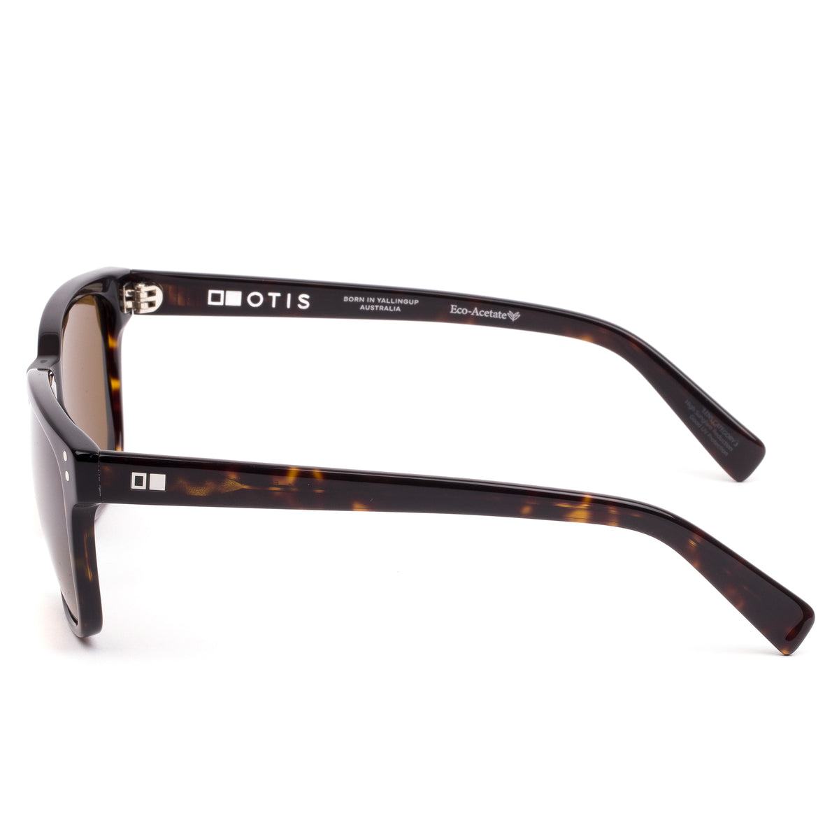 Otis Time Horizon : Eco Matte Dark Tort/Brown Polar 167-2302P