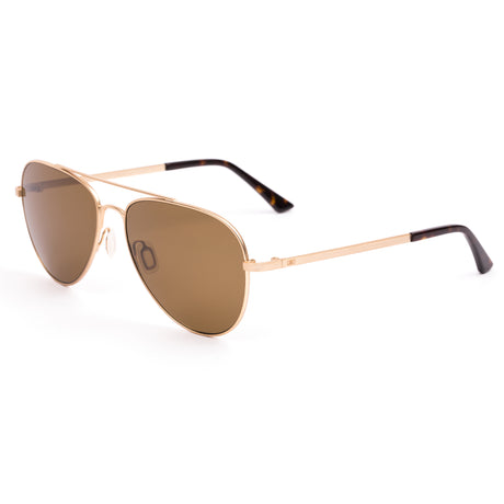 Otis Zeppelin : Brushed Gold/Eco Dark Tort/Brown Polar 182-2202P