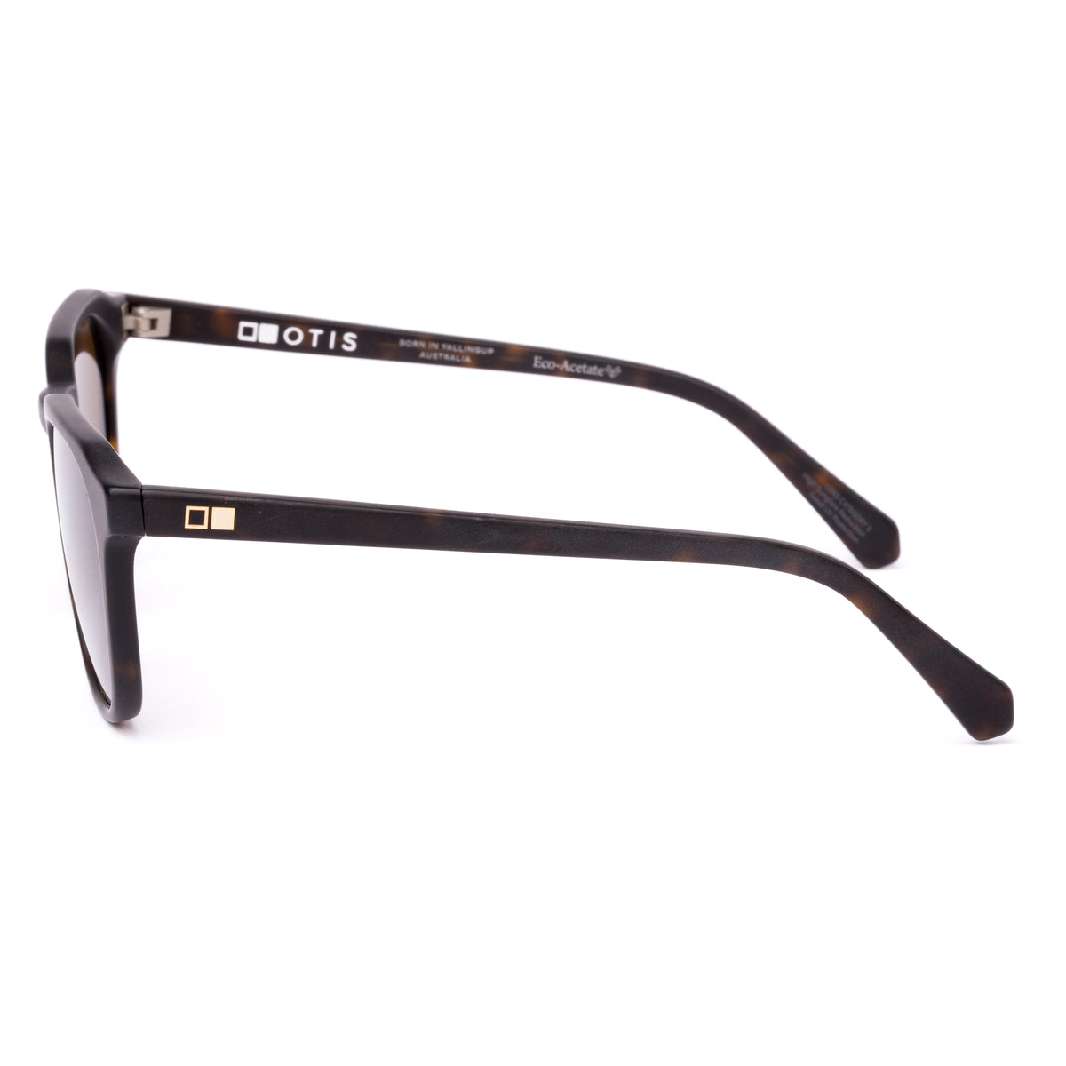 Otis Divide Eco Matte Dark Tort/ Brown Polar