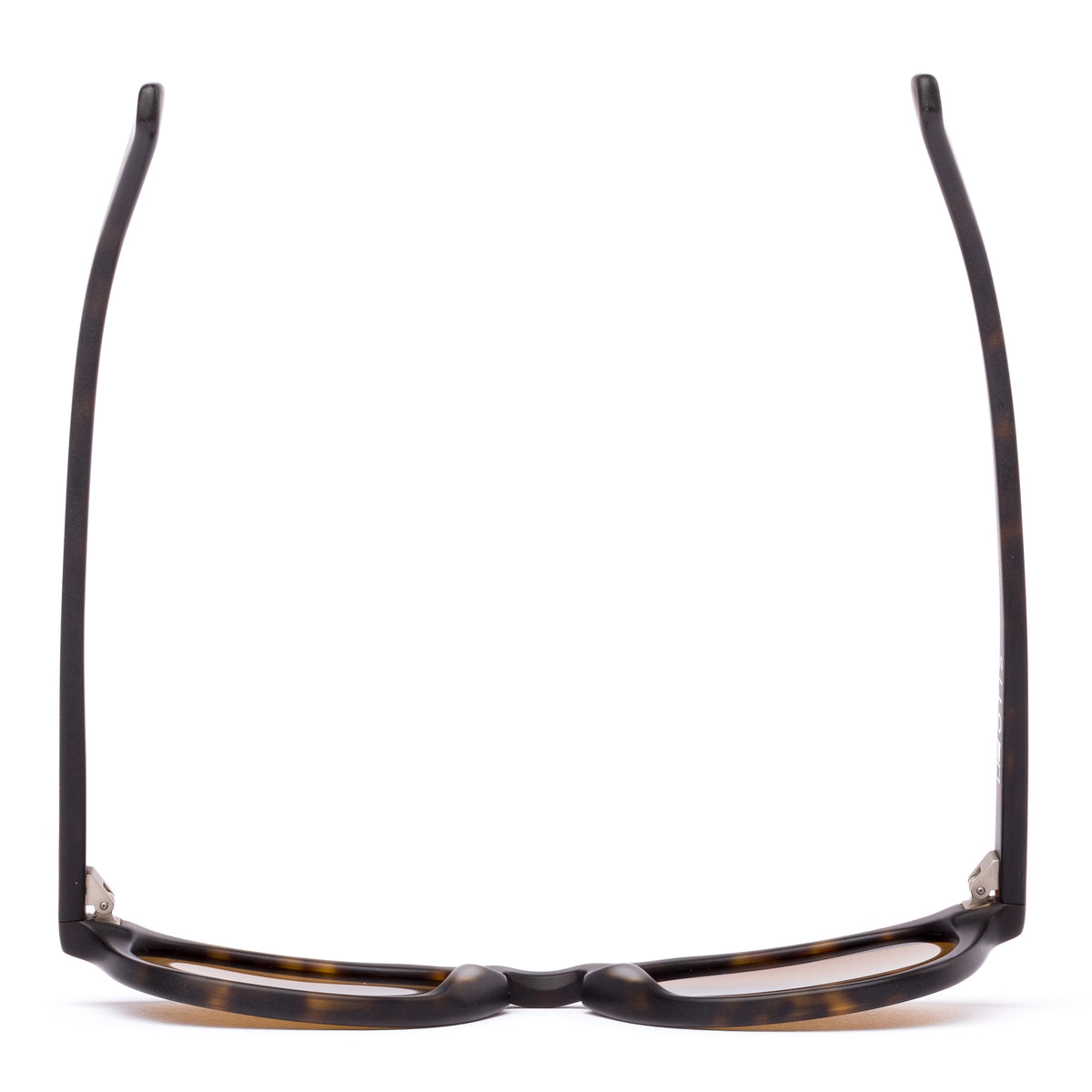 Otis Divide Eco Matte Dark Tort/ Brown Polar