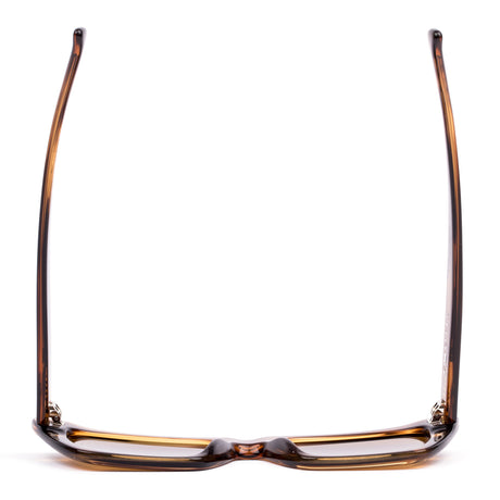 Otis Currents : Eco Coco Havana/Brown193-2404