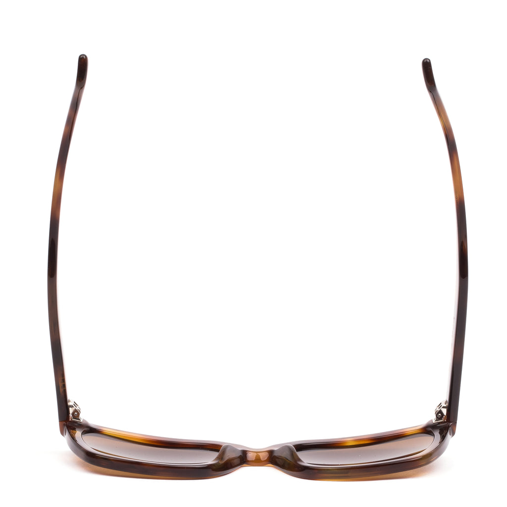 OTIS PURSUIT : ECO HAVANA ZINNIA/BROWN 194-2302