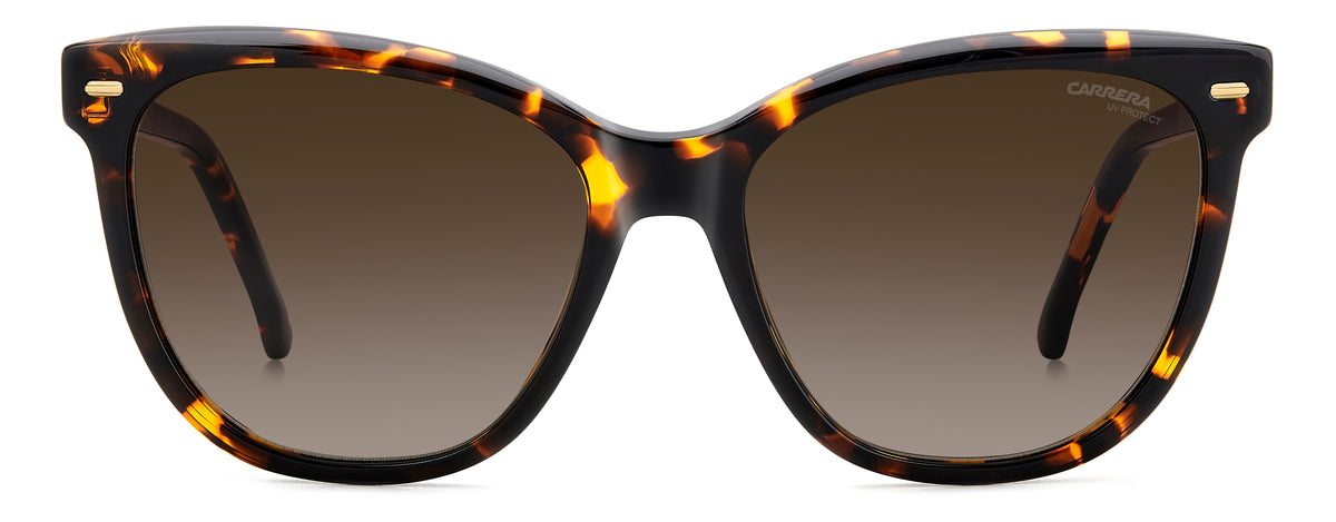 Carrera 3043/S-56-086 HVN HA BROWN SF