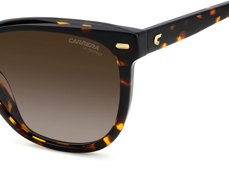 Carrera 3043/S-56-086 HVN HA BROWN SF