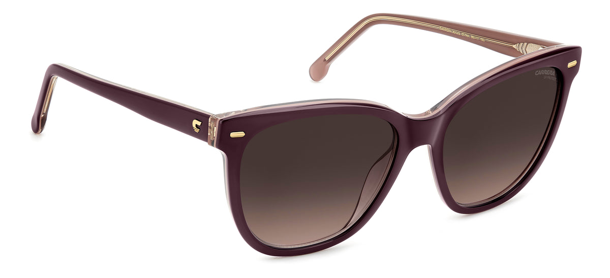 Carrera 3043/S-56-0T7 PLUM HA BROWN SF