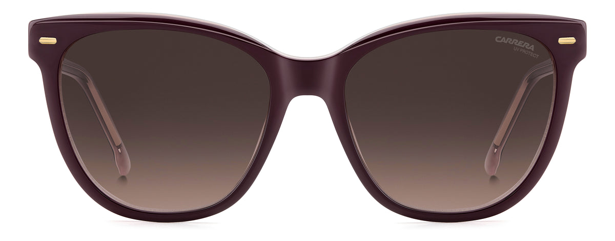 Carrera 3043/S-56-0T7 PLUM HA BROWN SF