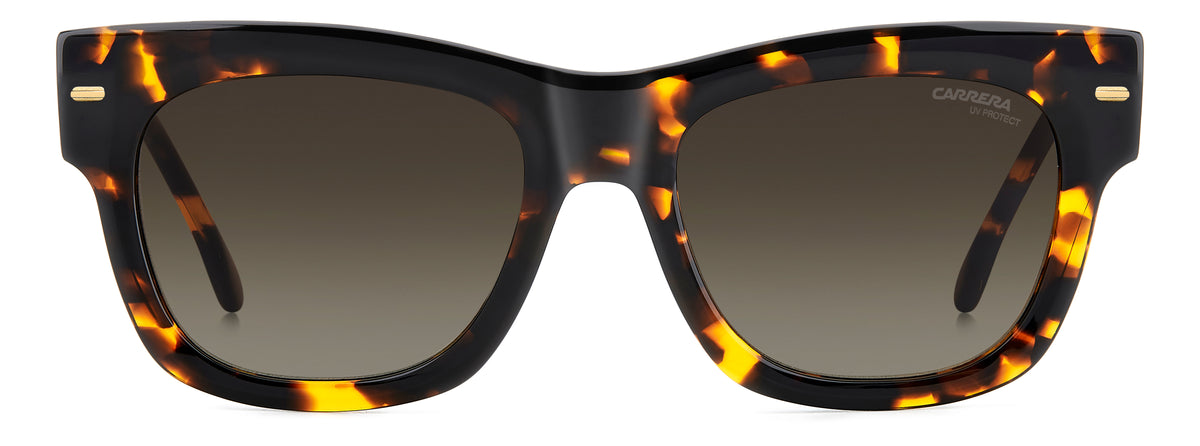 Carrera 3066/S-53-086 HVN HA BROWN SF