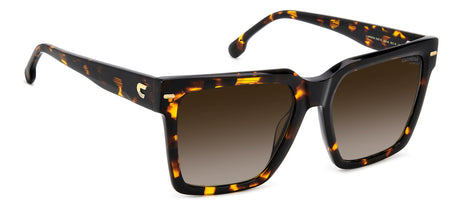 Carrera 3067/S-56-086 HVN HA BROWN SF