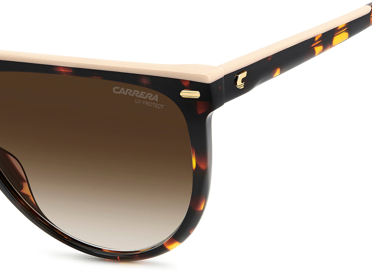 Carrera 3055/S-60-XLT HAVANBEIG HA BROWN SF