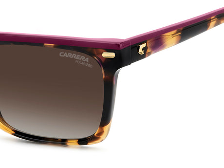 Carrera 3056/S-55-MFX HVNA PLUM LA BROWN SF PZ