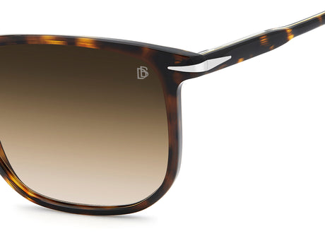 David Beckham DB 1141/S-55-086 HVN N4 BRW SF BRK