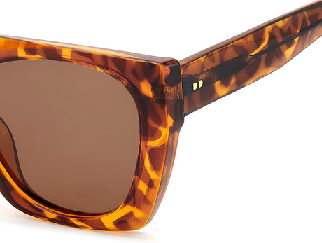 Prive Rivaux Tropic Nights/S-56-086 Havana/ Bronze Polarized