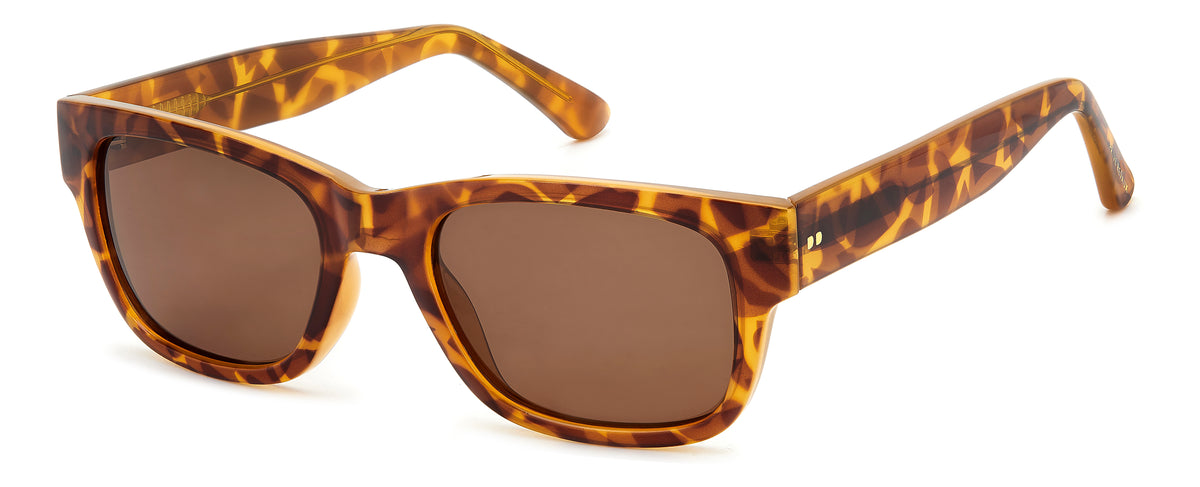 Prive Rivaux Rain Clouds/S-54-086 Havana/ Green Polarized
