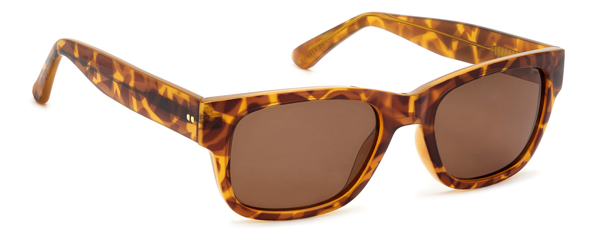 Prive Rivaux Rain Clouds/S-54-086 Havana/ Green Polarized