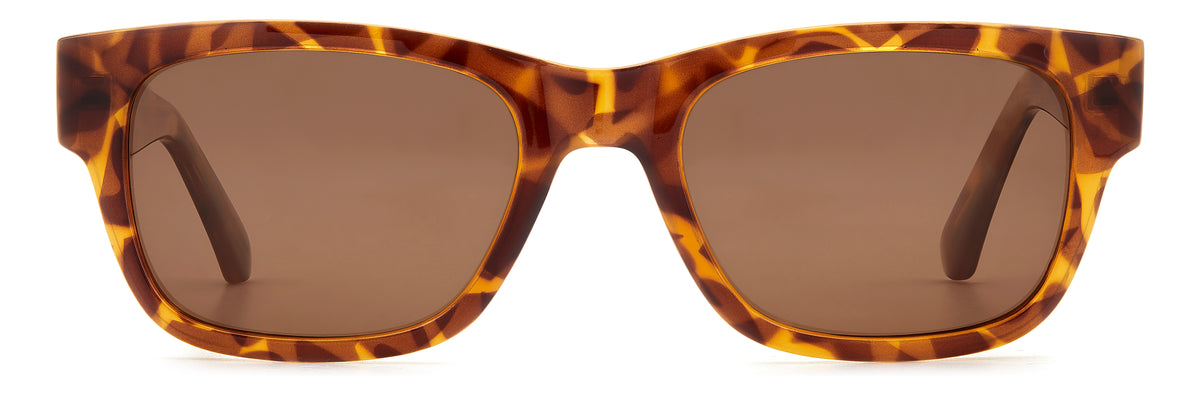 Prive Rivaux Rain Clouds/S-54-086 Havana/ Green Polarized