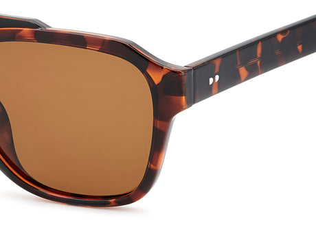 Prive Rivaux Dream Finder/S-55-581 Havana Black/ Bronze Polarized