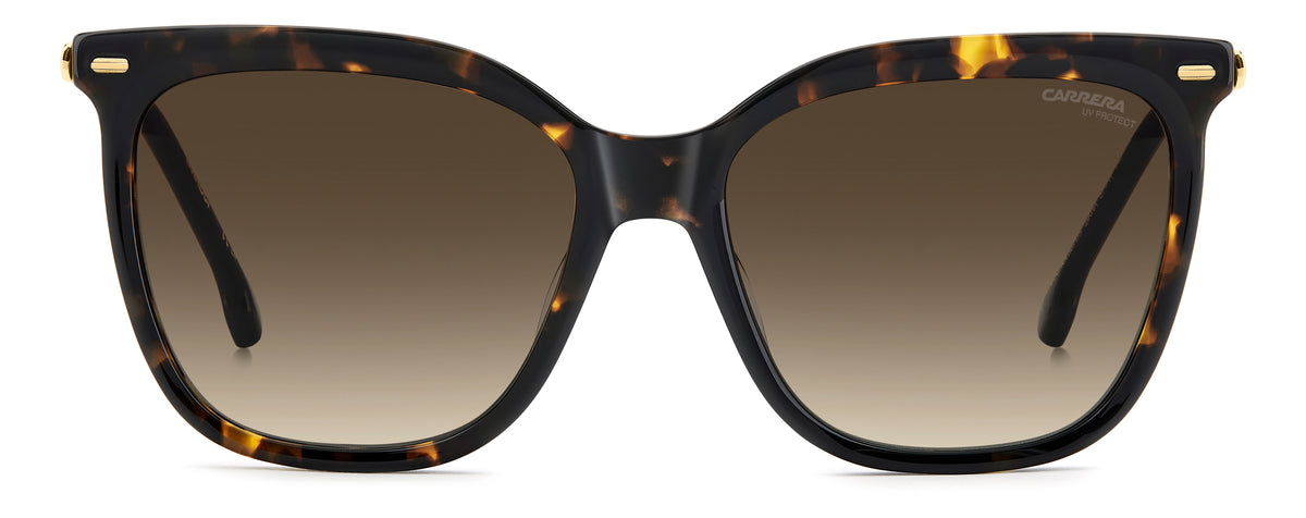 Carrera  3071/S-57-2IK HVNA GOLD HA BROWN SF